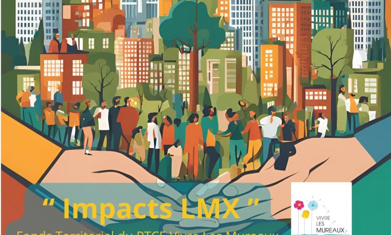 Impacts LMX Fonds Territorial